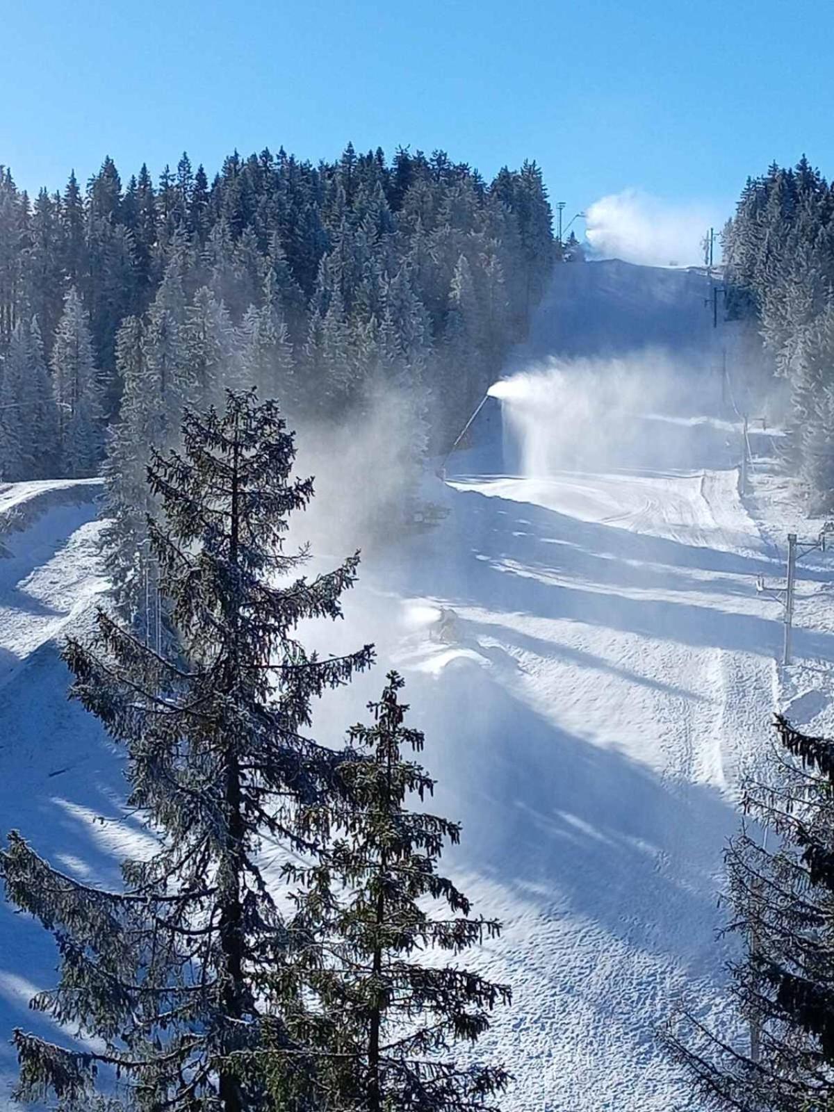 Woodside Woodside Apartments Kopaonik Free Parking & Spa , Free Ski Locker Dış mekan fotoğraf